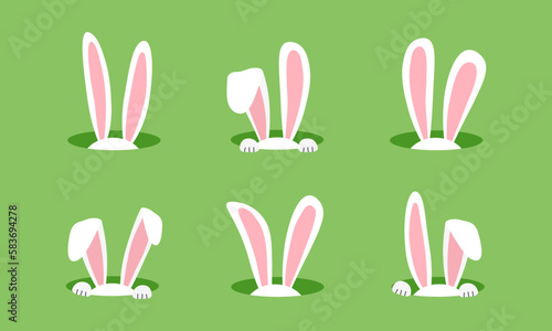 Easter bunny in hole, ears rabbit, cartoon funny character on green background. Cute animal vector illustration