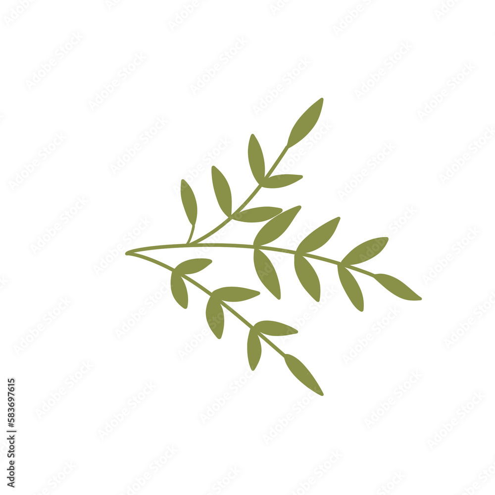 Floral Illustration Floral Illustration