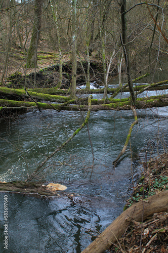 Fototapeta Naklejka Na Ścianę i Meble -  Old broken bridge over a small river in the forest in spring.
