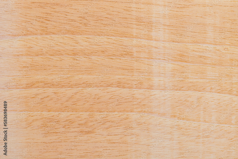 Naklejka premium Light rough textured cut surface of an African tree. Wood background or blank for design