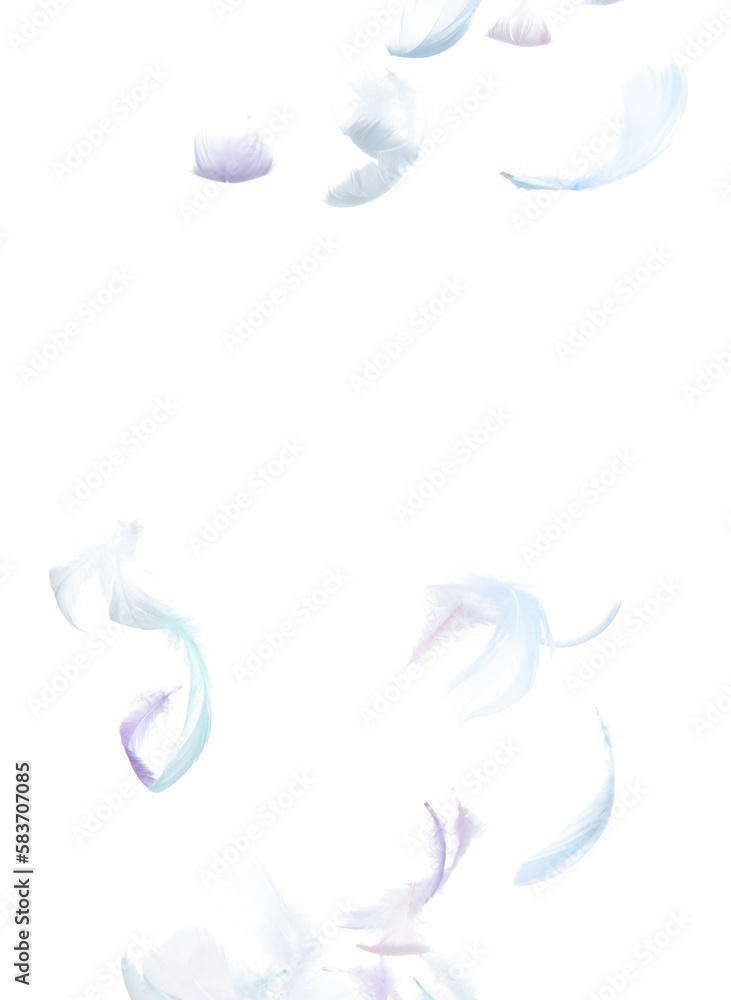 Many Pastel Feather fly fall in Air over white background isolated. Puffy Fluffy soft feathers as purity smooth like dream floating dove in sky. Angle flying from heaven, photo motion Many Pastel Feather fly fall in Air over white background isolated. Puffy Fluffy soft feathers as purity smooth like dream floating dove in sky. Angle flying from heaven, photo motion