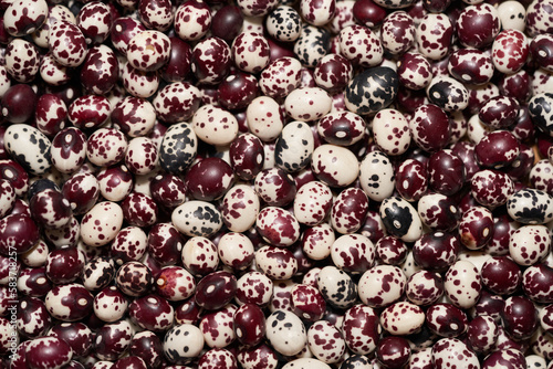 Nuna Peruvian Popping Beans