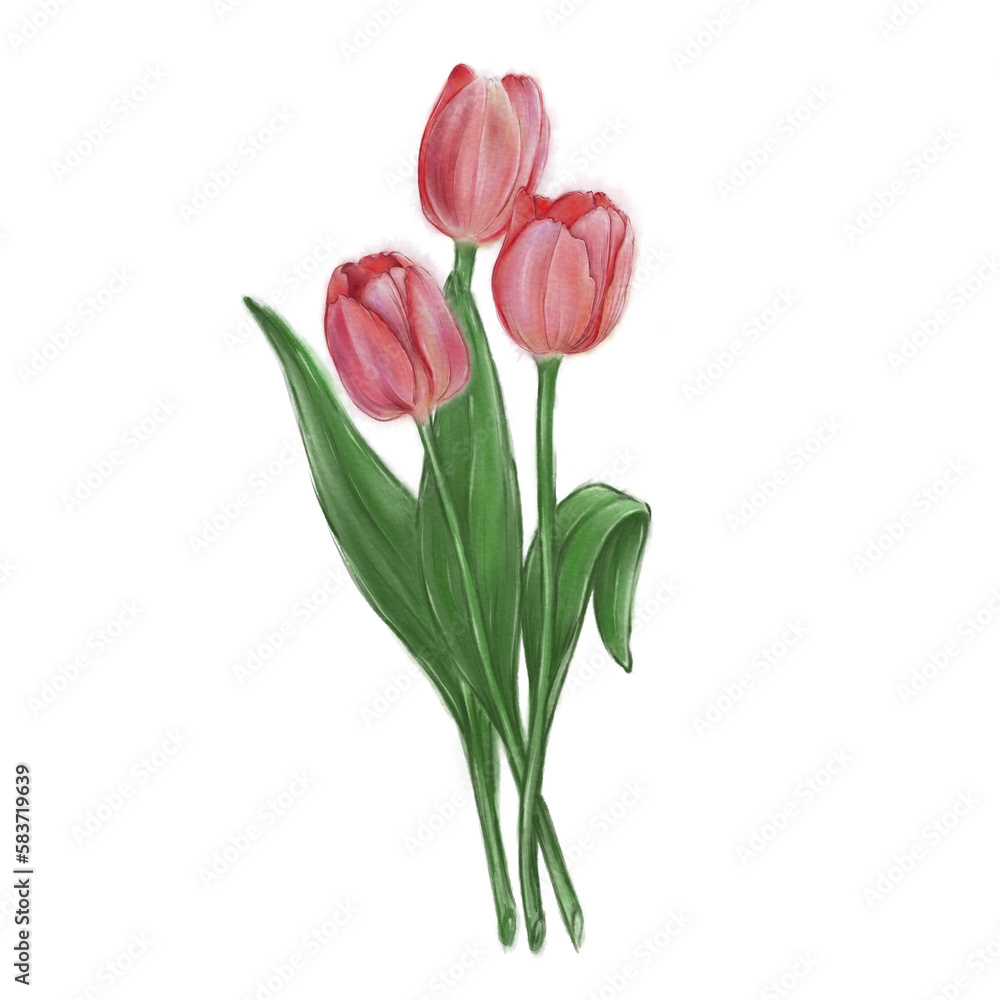 Tulips and dandelions - PNG 1