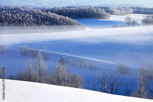 凍て付いた朝の丘（美瑛町） © itoh masako