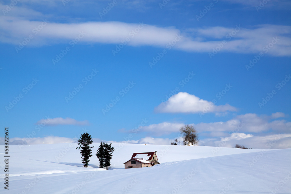 雪原の中の家（美瑛町）