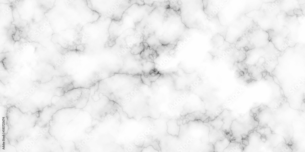 Natural White marble texture for wall and floor tile wallpaper luxurious background. white and black Stone ceramic art wall interiors backdrop design. Marble with high resolution.
Natural White marble texture for wall and floor tile wallpaper luxurious background. white and black Stone ceramic art wall interiors backdrop design. Marble with high resolution.
