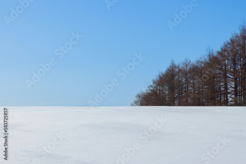 青と白の雪景色