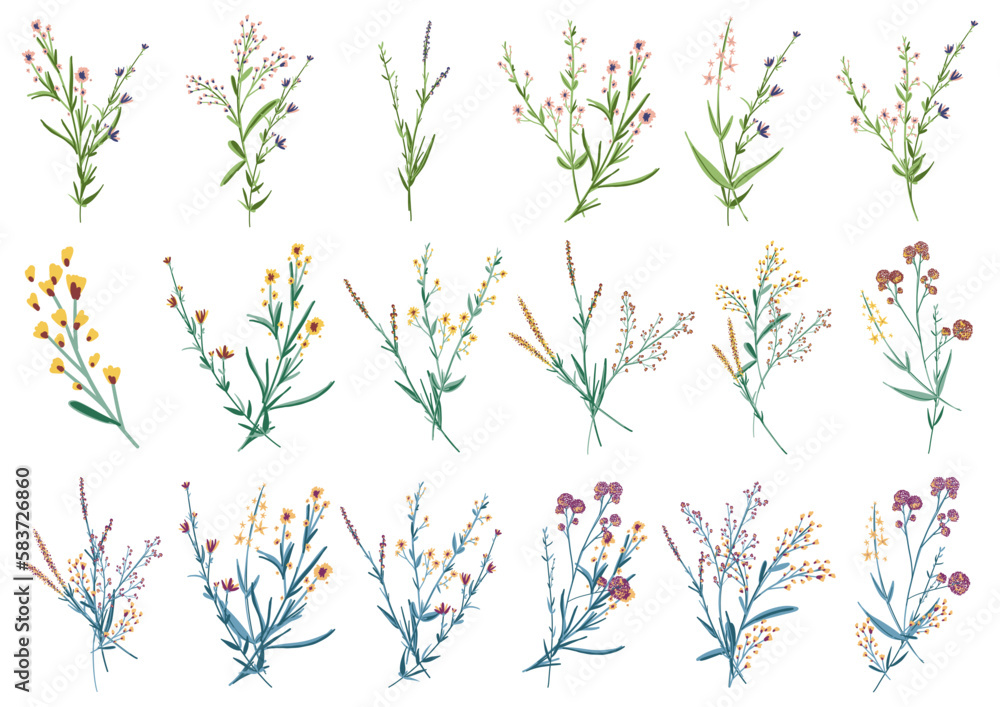 Big set botanic blossom floral elements. Small drawing branches, leaves, herbs, wild plants, flowers. Garden, meadow, field collection leaf, foliage, branches. Bloom bouquets vector illustration Big set botanic blossom floral elements. Small drawing branches, leaves, herbs, wild plants, flowers. Garden, meadow, field collection leaf, foliage, branches. Bloom bouquets vector illustration