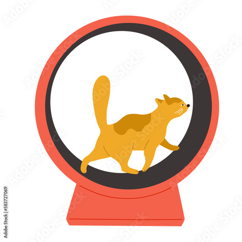Exercise wheel for cat. Pet Fitness. Exercise for cat indoors. Vector flat cartoon illustration isolated on white background.
