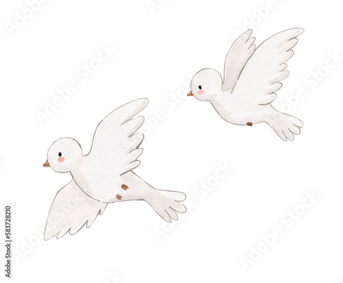 White bird Watercolor illustration for kids