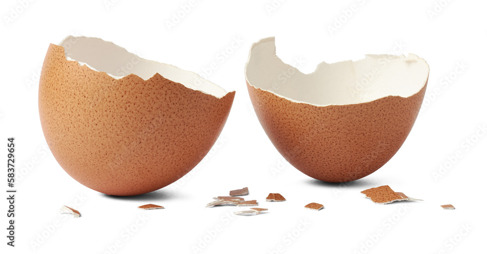 brown egg shell broken or crack with pieces scattered on the surface, isolated cut out - obrazy, fototapety, plakaty 