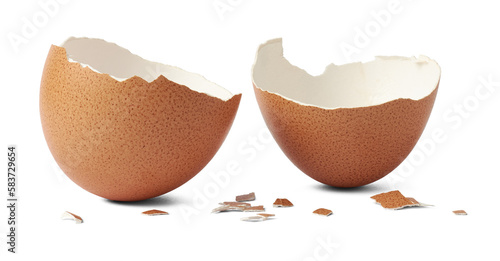 brown egg shell broken or crack with pieces scattered on the surface, isolated cut out