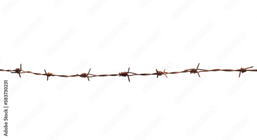 Old rusty security barbed wire fence isolated on white background Old rusty security barbed wire fence isolated on white background