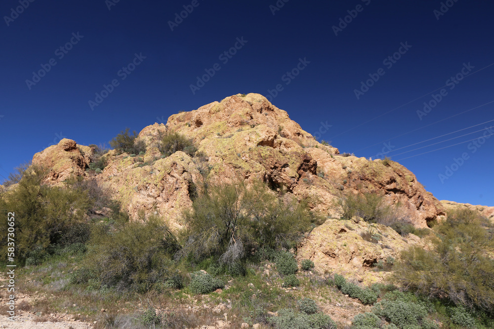 Fototapeta premium rocks in the desert