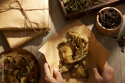 Rhubarb root and rhizome displayed on golden steelyard and being packed into a paper by hand model with Chinese motherwort, Purple Nutsedge and medicine packs. Traditional medicine advertising