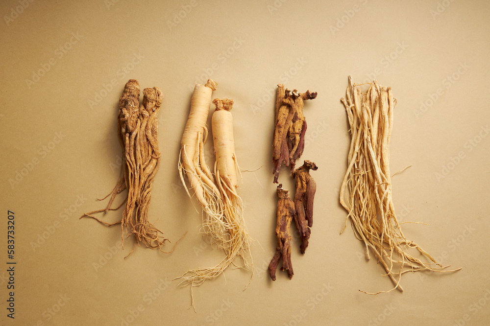 Scenes of 4 different types of ginseng on brown background, in order