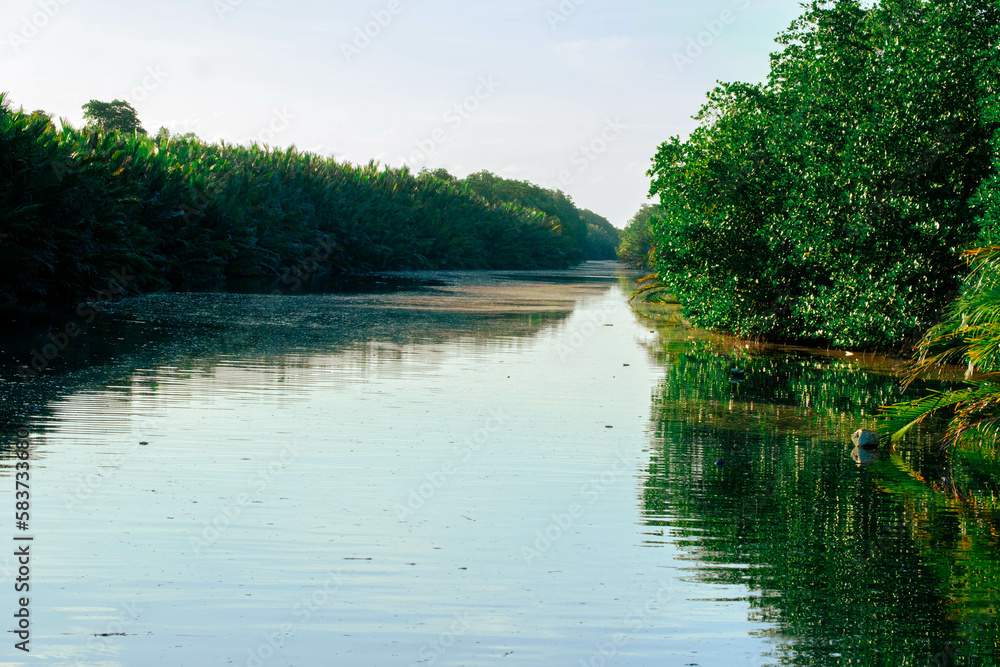 River and swamp scenery at Pulau Kerengga, Marang, Terengganu, Malaysia River and swamp scenery at Pulau Kerengga, Marang, Terengganu, Malaysia
