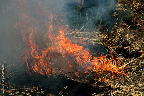 The flames and smoke from burning hay pollute the environment.