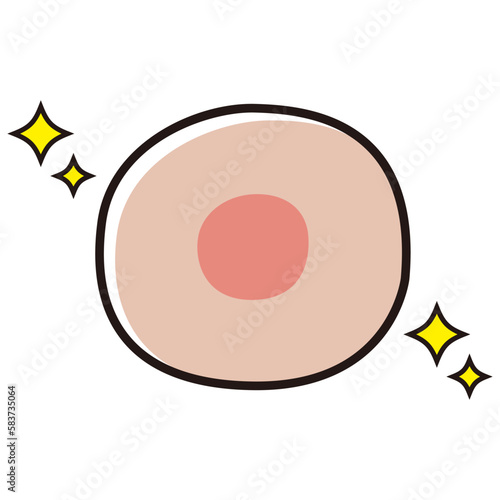 卵子のイラスト