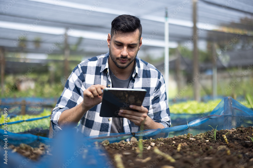 Obraz premium A worker on a vegetable farm examines soil conditions and crop growth to determine the best type and amount of crop to plant. A small business owner's daily planning and organizing routine