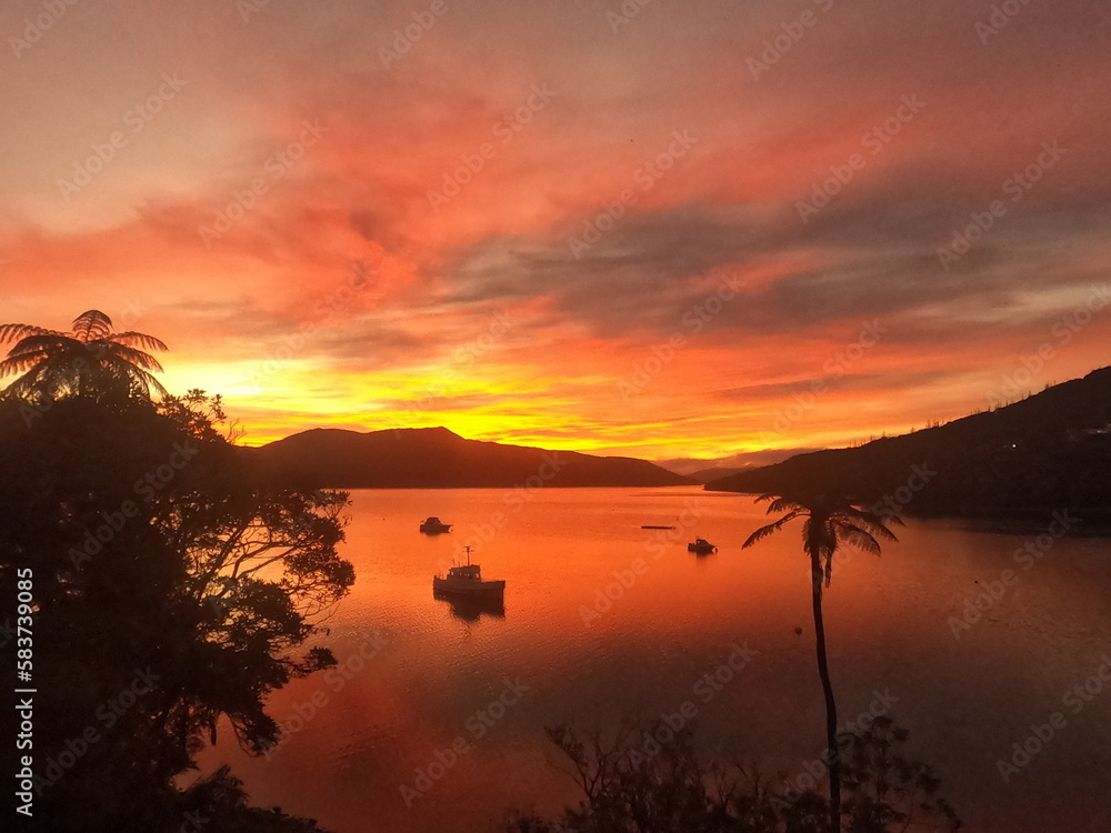 Obraz premium sunset over on the Queen Charlotte Track 