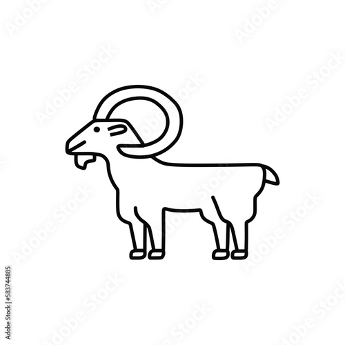bearded goat