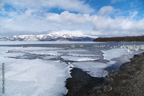 Wallpaper Mural 屈斜路湖と藻琴山（弟子屈町） Torontodigital.ca