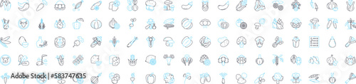 Vegetable vector line icons set. Peas, Carrots, Celery, Potato, Broccoli, Radish, Celeriac illustration outline concept symbols and signs