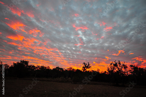 red sunset over the field