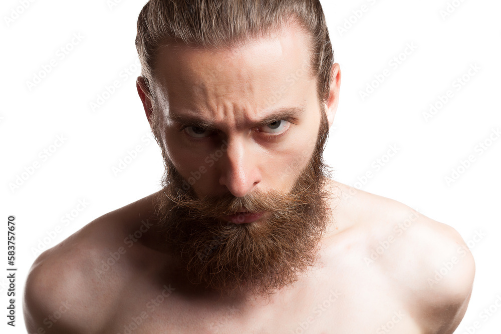 Naklejka premium Cool man with long beard in studio photo over white background