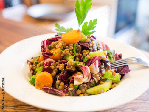 Veganer Linsensalat mit Radicchio, Sellerie und Karotten