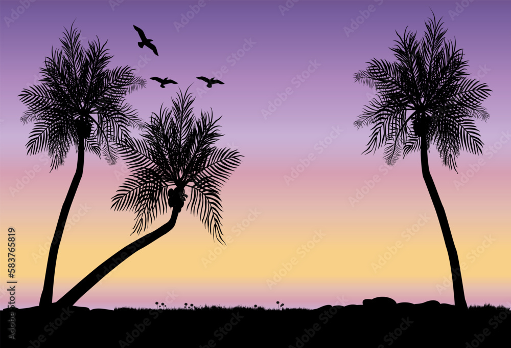 three coconut trees in the sunset