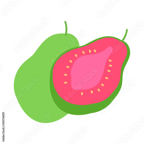 グアバ。フラットなベクターイラスト。
Guava. Flat designed vector illustration.