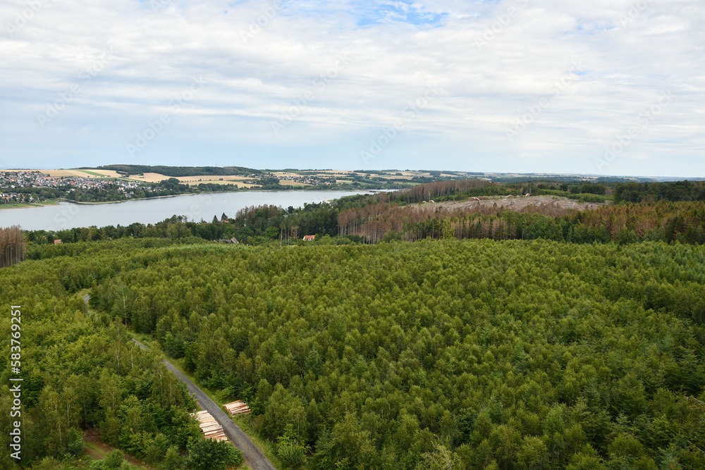Obraz premium Dying forest of diseased trees with bark beetle infestation at Moehnesee, Germany