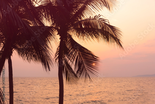 Silhouette coconut palm tree on sea and sunset sky background