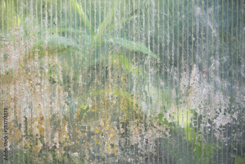 Close-up of a greenhouse wall made of old worn out dirty polycarbonate