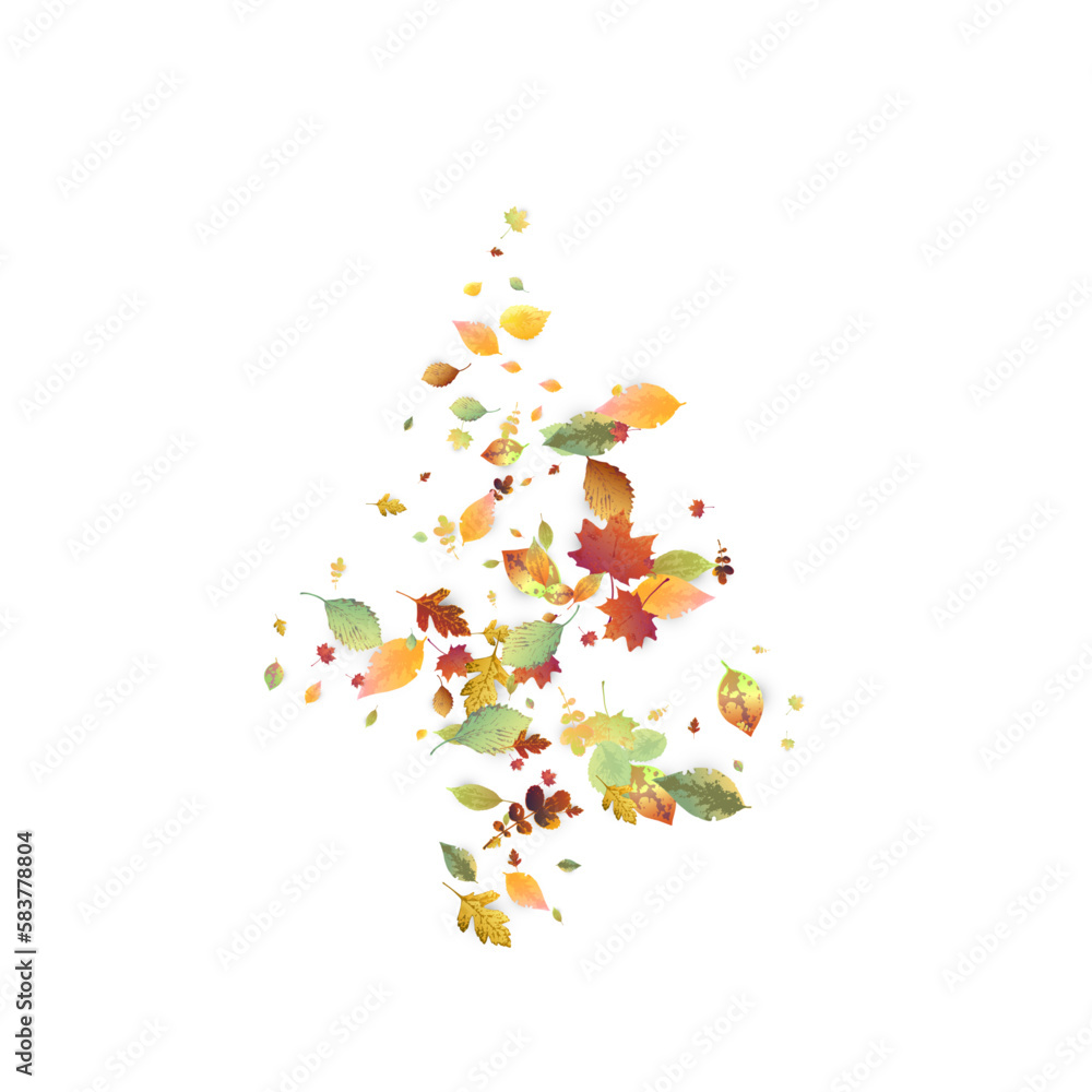 Leaves Falling Autumn Foliage Chaotic Leaf Flying Leaves Falling Autumn Foliage Chaotic Leaf Flying