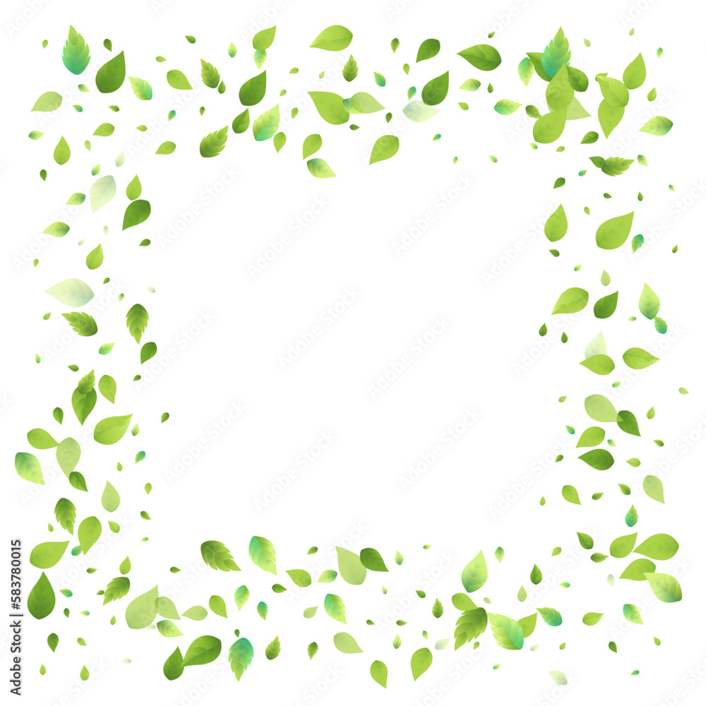 Leaves Green Falling Flying Foliage Leaf Tea Mint Leaves Green Falling Flying Foliage Leaf Tea Mint