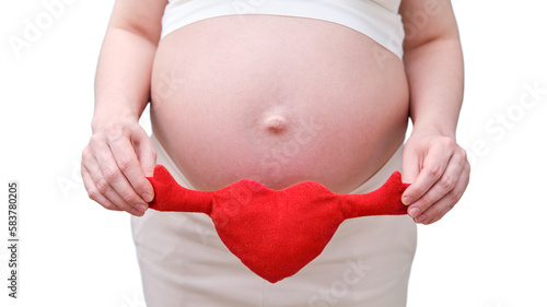 Wallpaper Mural Red toy heart in the hands of a pregnant woman, studio shot, isolated on a white background Torontodigital.ca