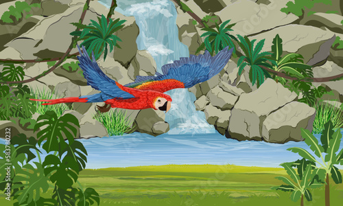 A scarlet macaw parrot flies over a waterfall in the jungle. Rock, creepers, banana trees and epiphytic ferns. South America and Africa. Realistic Vector Landscape