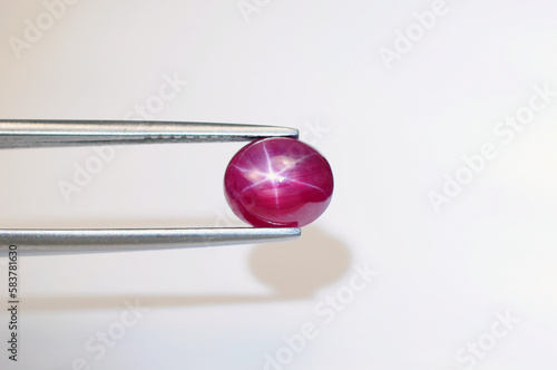 Foto Natural bright red color 6 rays star ruby cabochon gemstone setting in tweezers