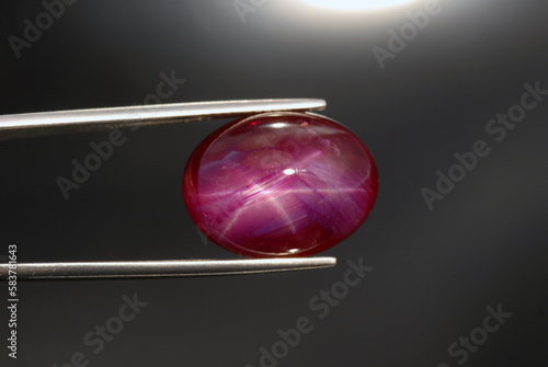 Natural heated, lead glass filled, treated 6 rays star red ruby cabochon loose gemstone in tweezers on artificial spot lighting on uneven radial gray background. Oval gemstone for making jewelry. photo