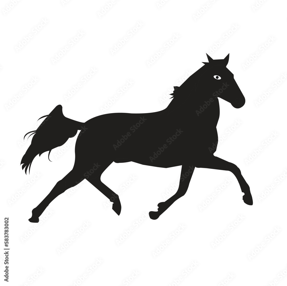 silhouette of a horse silhouette of a horse