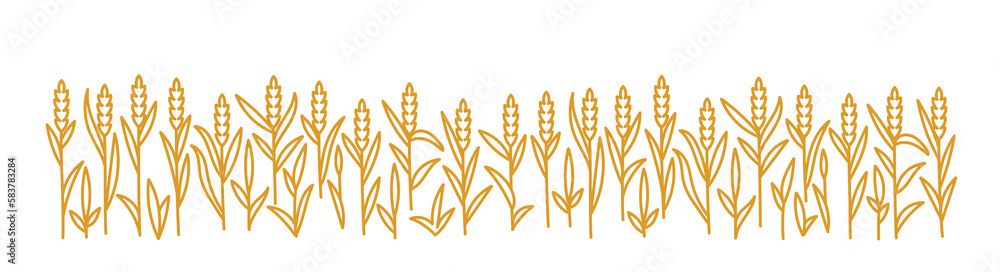 Ears of wheat rye or barley. Cereal agriculture field. Vector line. Editable outline stroke. Ears of wheat rye or barley. Cereal agriculture field. Vector line. Editable outline stroke.