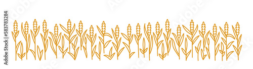 Ears of wheat rye or barley. Cereal agriculture field. Vector line. Editable outline stroke.