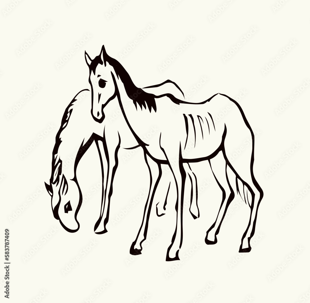 Starving skinny horse. Vector drawing Starving skinny horse. Vector drawing