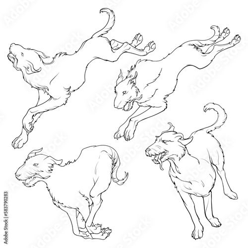 The Irish Wolfhound dogs pack in a different running positions. Set of black line drawings isolated on white background. EPS 10 vector illustration.