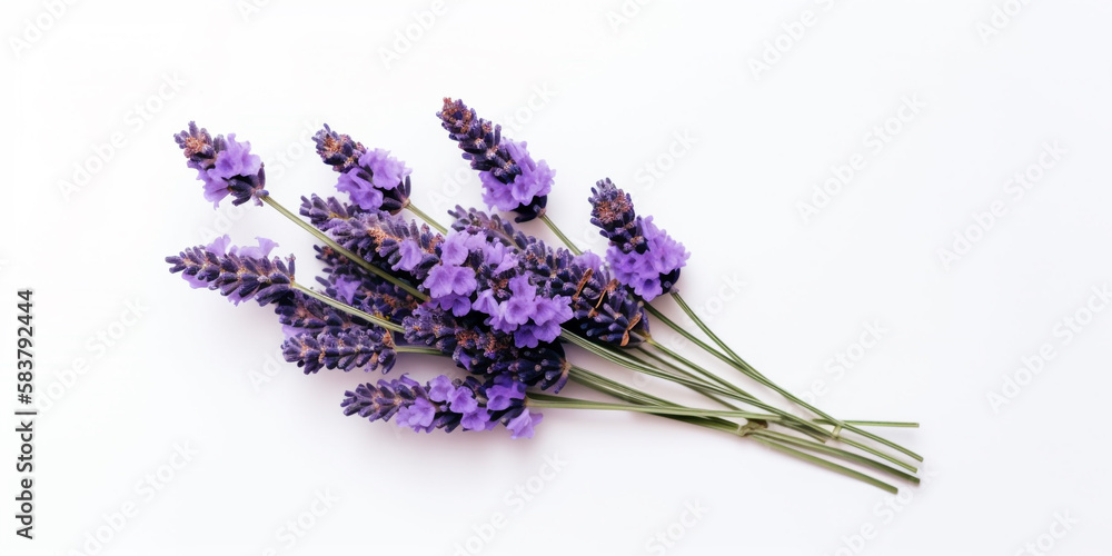 Lavender Love: Serenity & Beauty on a White Canvas. AI Generated Art. Wallpaper, Background. Concept Art with Whitespace for Beauty and Health. Lavender Love: Serenity & Beauty on a White Canvas. AI Generated Art. Wallpaper, Background. Concept Art with Whitespace for Beauty and Health.