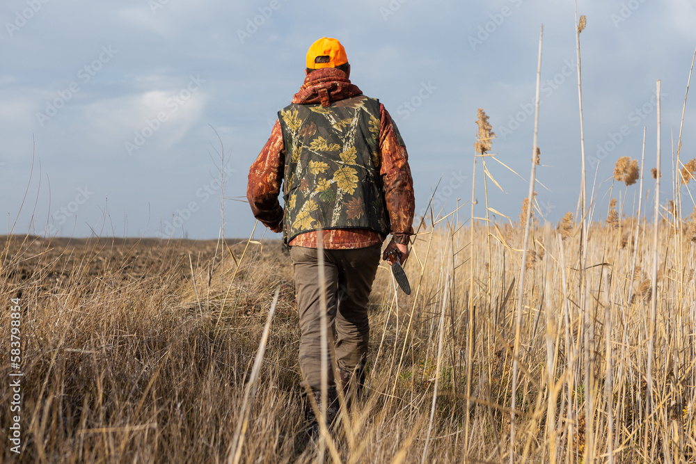 Mature man hunter with gun while walking on field. Mature man hunter with gun while walking on field.
