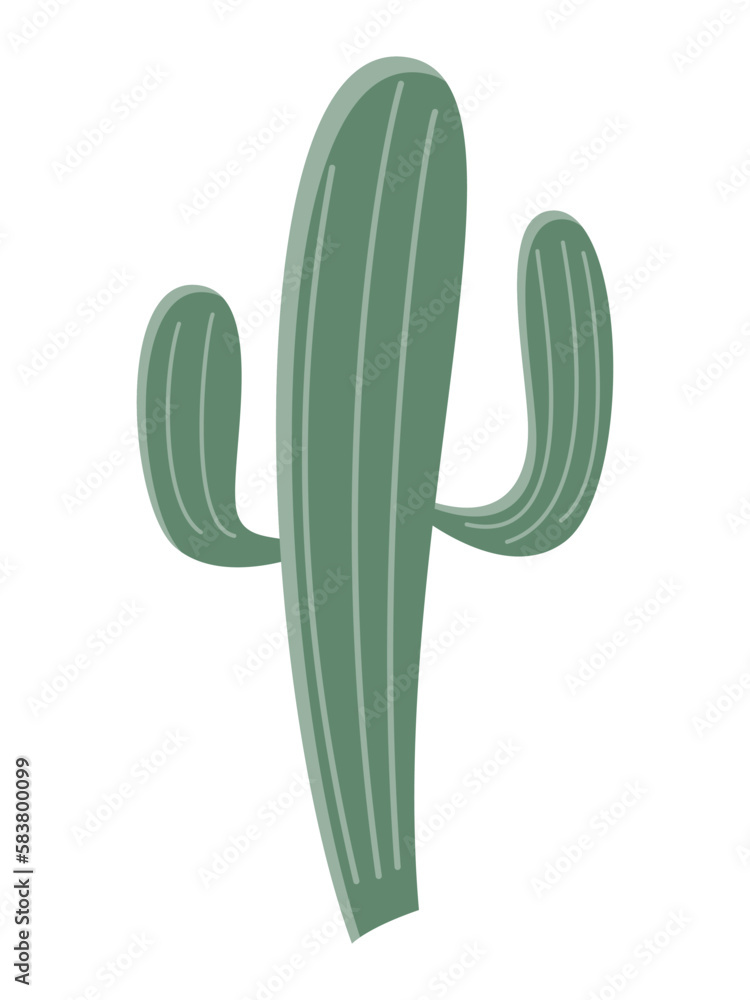 Cactus illustration in a flat style on a white background. Home plants cactus illustration. Cactus illustration in a flat style on a white background. Home plants cactus illustration.